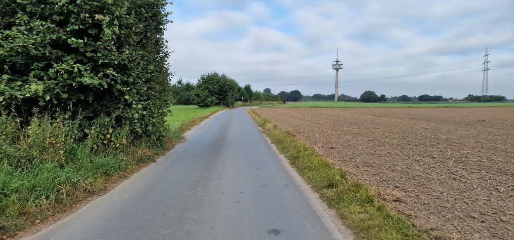 Gallery 20240810 082426.jpg
