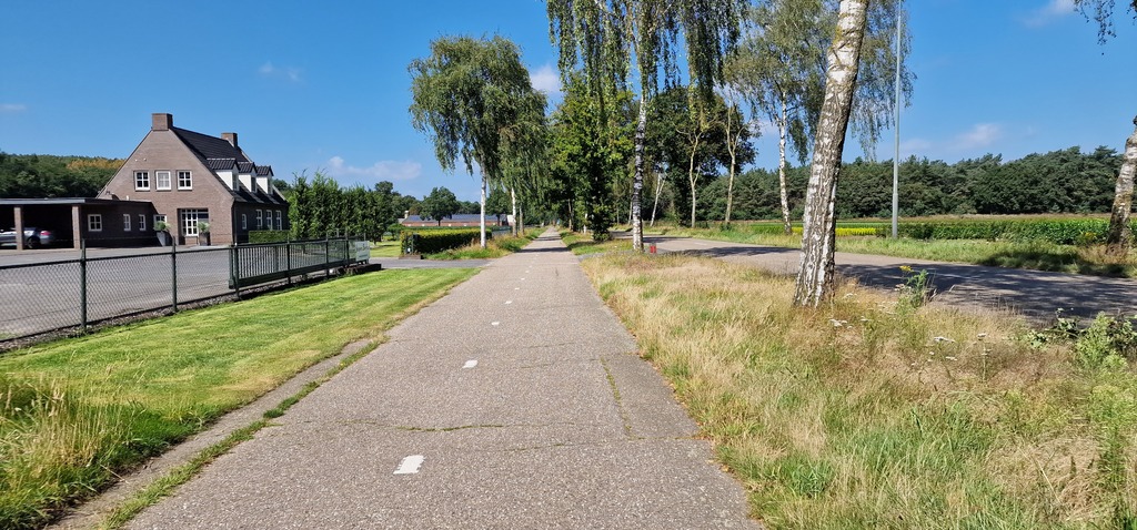 Gallery 20240810 120328.jpg