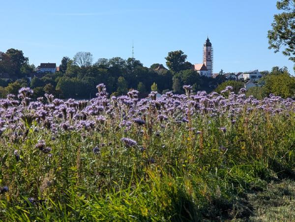 Operation Dijkstra - Bikepacking Soligen - München